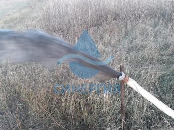 %name Удаление песчано иловых отложений из фильтровой зоны — углубление скважины.